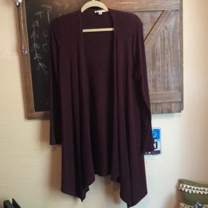 American Eagle maroon cardigan!